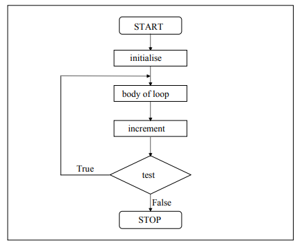 the do while loop execution flow