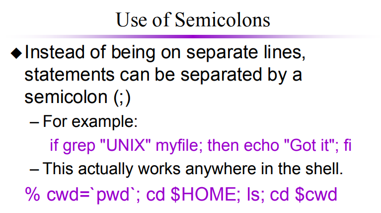 shell programming use of semicolon